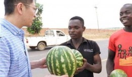 国内吃瓜爆料黑料 爆炸瓜视频,吃瓜爆料，爆炸瓜视频背后的真相大揭秘